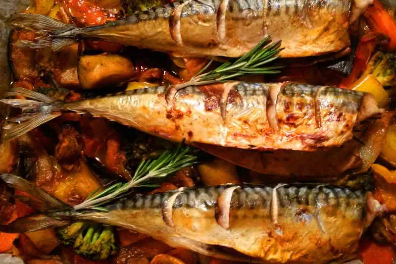 скумбрія Орхан